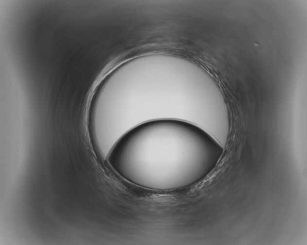 X0000116680150200912141012