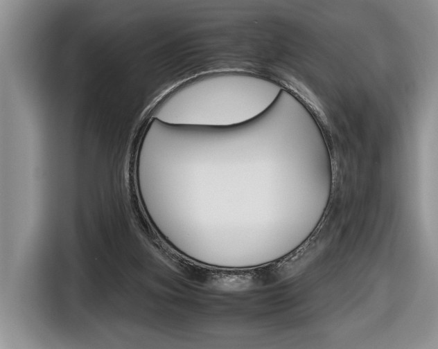 X0000116680155200912141012