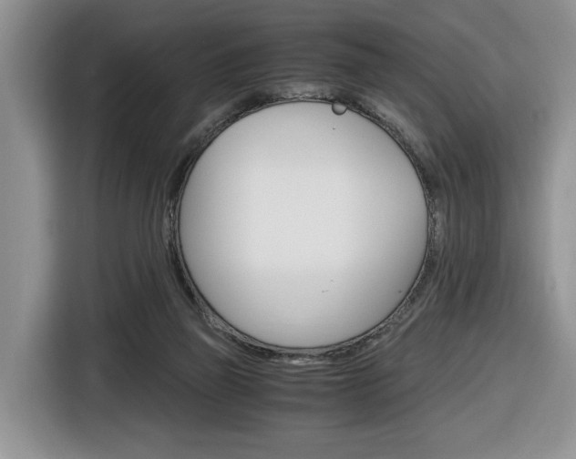 X0000116680165200912141012