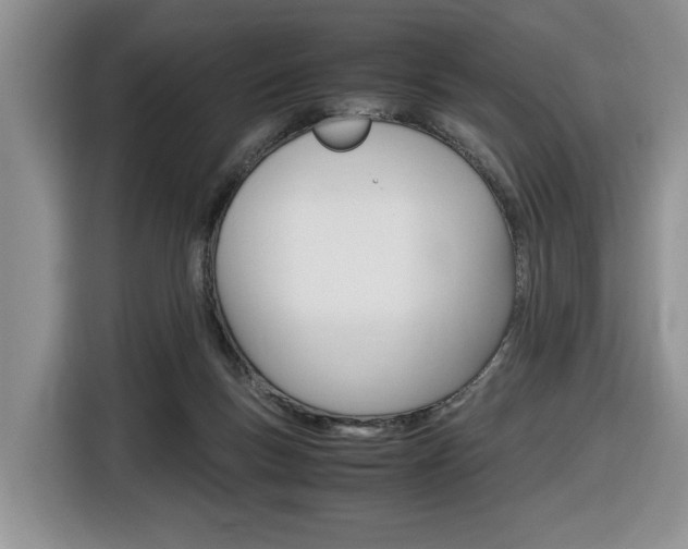 X0000116680167200912141012