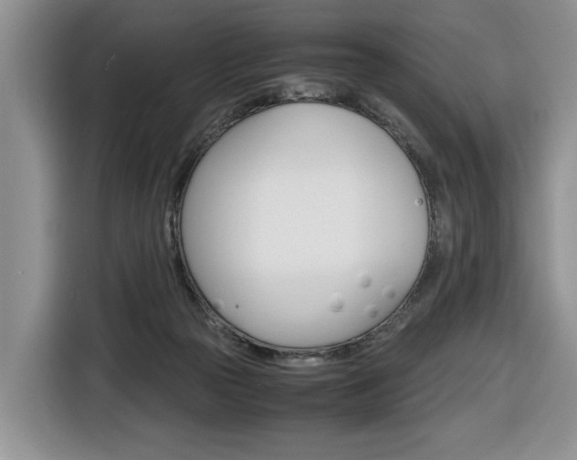 X0000116680169200912141012