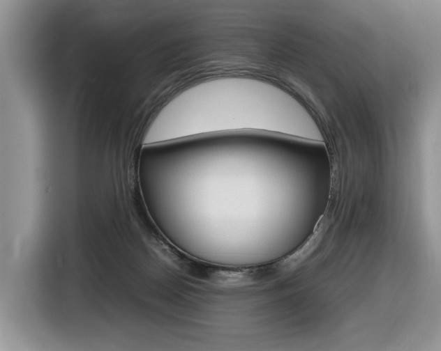 X0000116680170200912141012