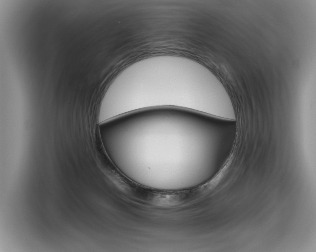 X0000116680174200912141012