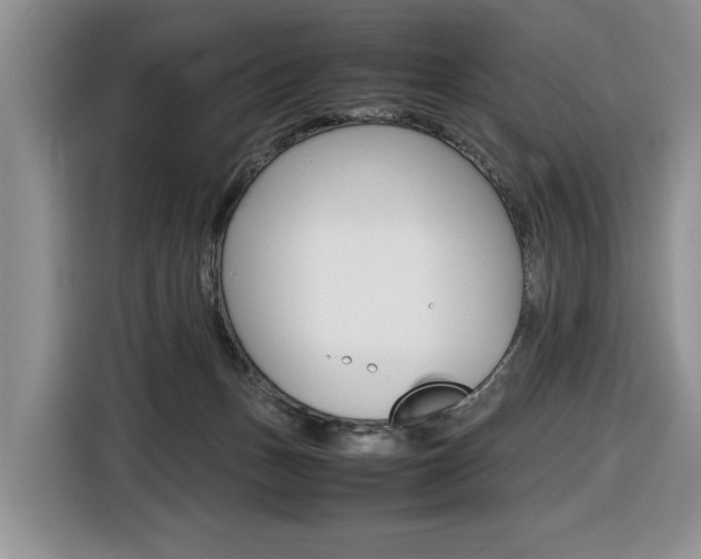 X0000116680175200912141012