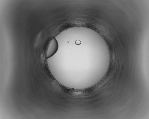 X0000116680177200912141012