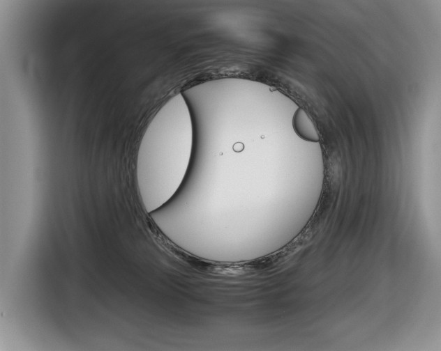 X0000116680181200912141012