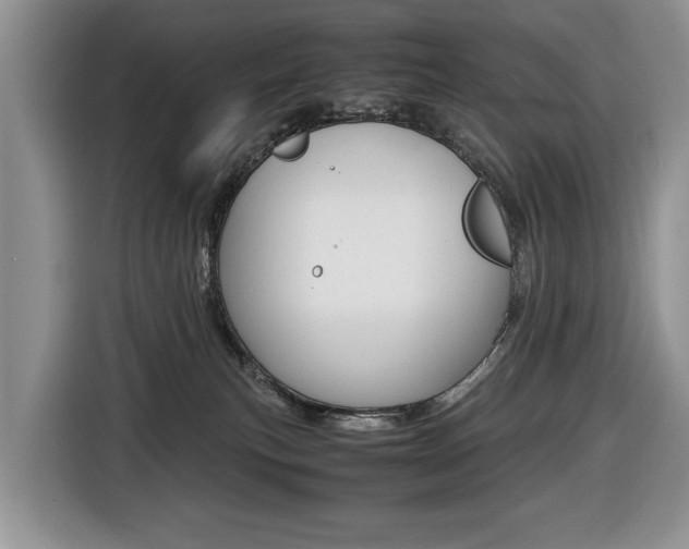 X0000116680183200912141012