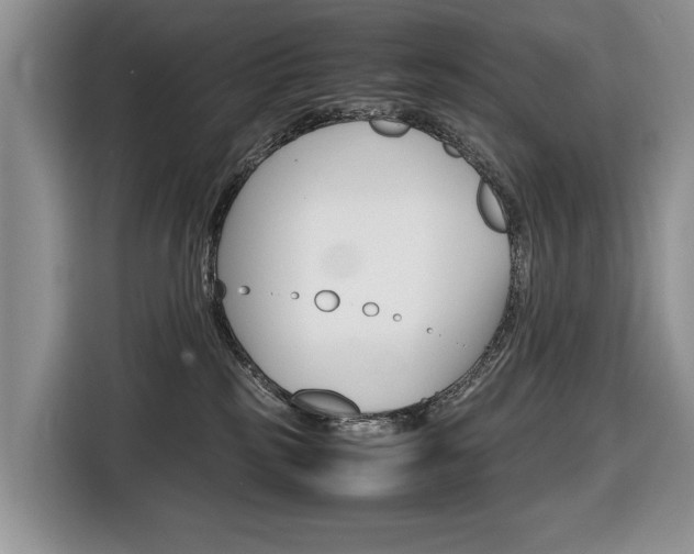 X0000116680185200912141013