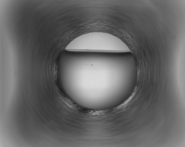 X0000116680186200912141013