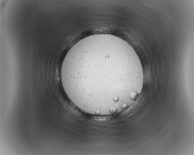 X0000116680187200912141013