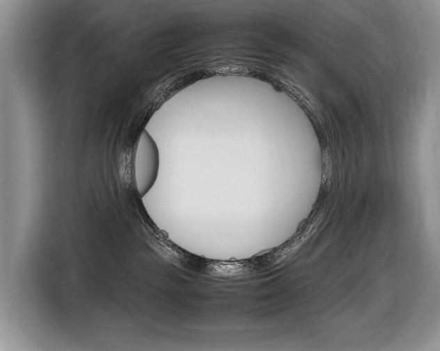 X0000116680189200912141013