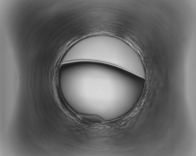 X0000116680193200912141012