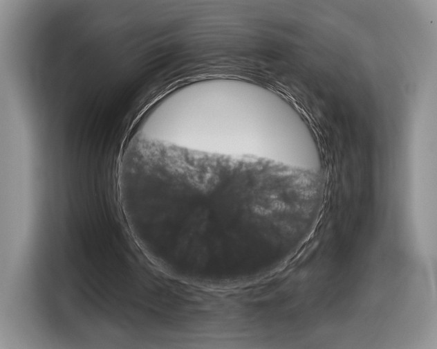 X0000116680194200912141012