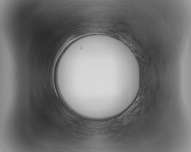 X0000116680195200912141012