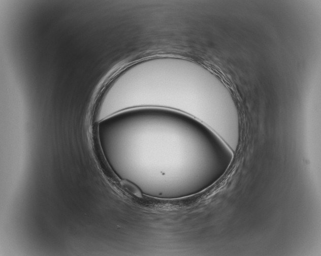 X0000116680197200912141012