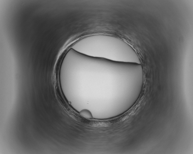X0000116680198200912141012