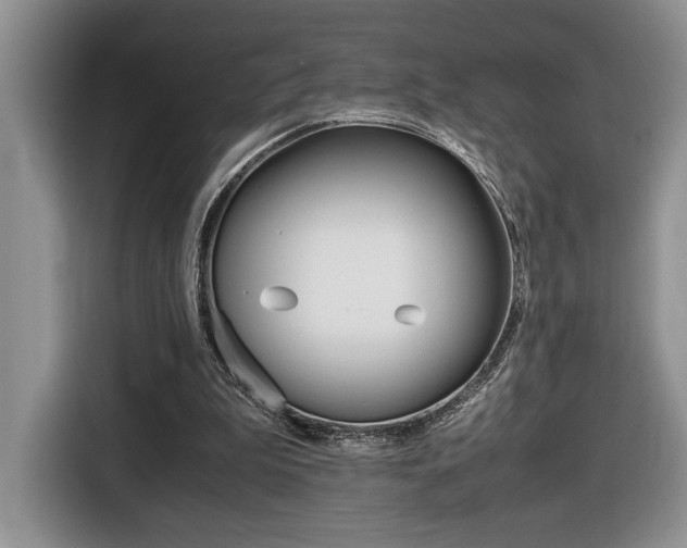 X0000116680199200912141012