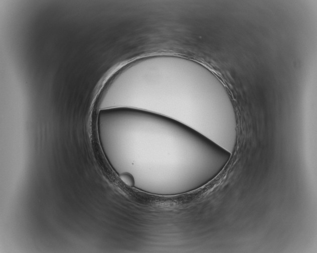 X0000116680200200912141012
