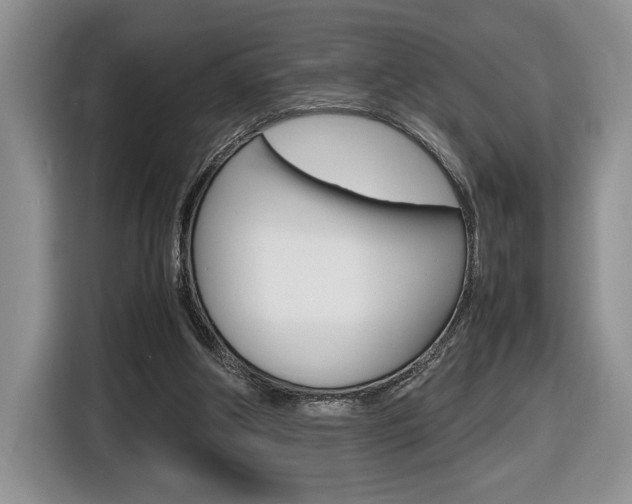 X0000116680202200912141012