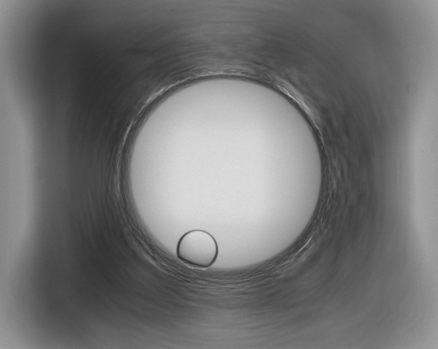 X0000116680203200912141012