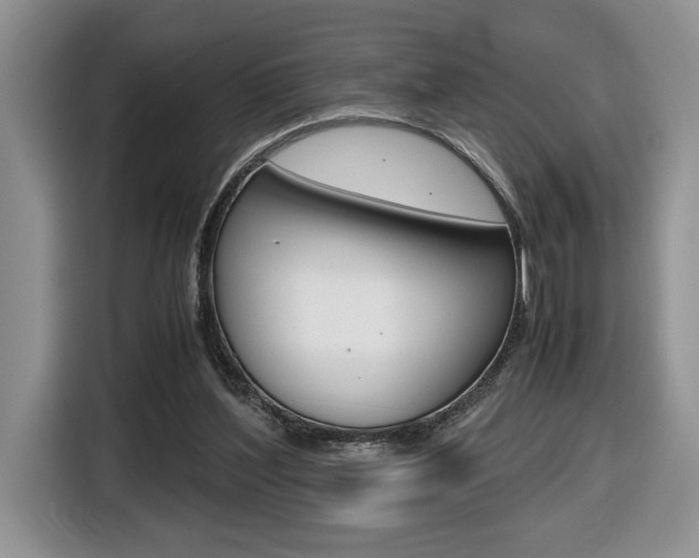 X0000116680204200912141012