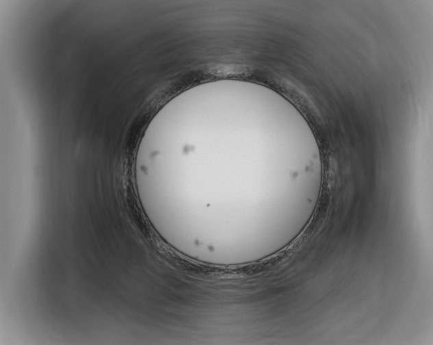 X0000116680210200912141012