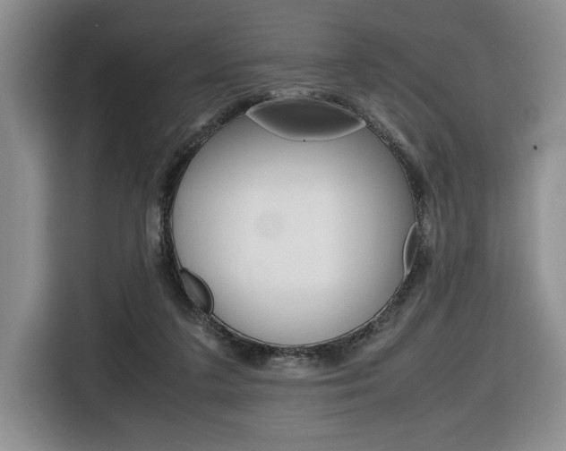 X0000116680211200912141012
