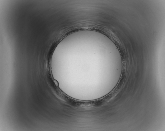 X0000116680213200912141012