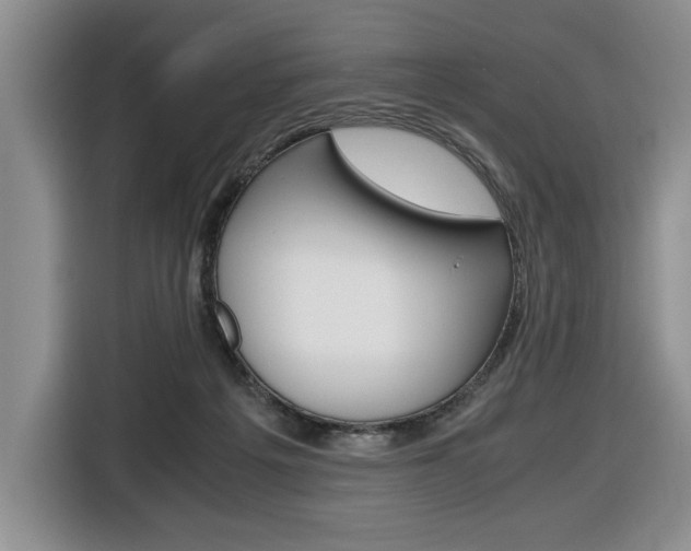 X0000116680217200912141012