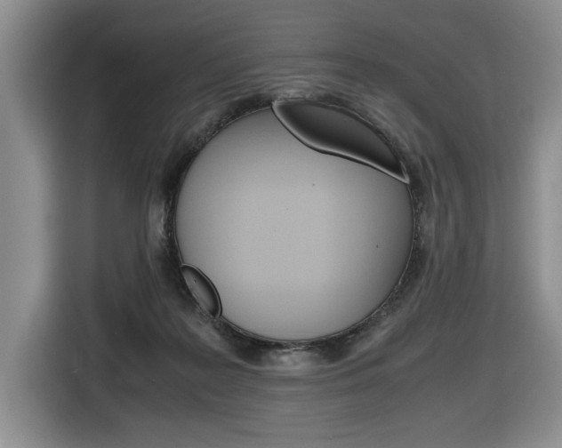 X0000116680219200912141012