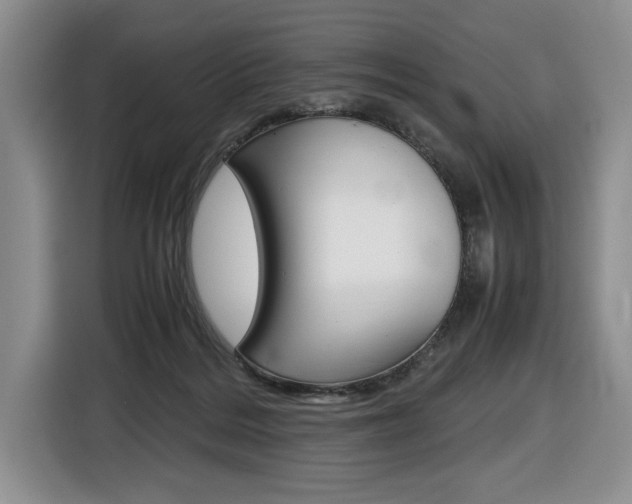 X0000116680220200912141012