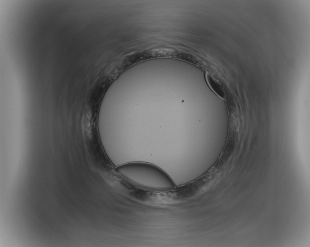 X0000116680223200912141012