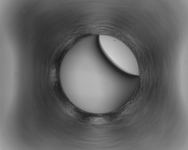 X0000116680224200912141012