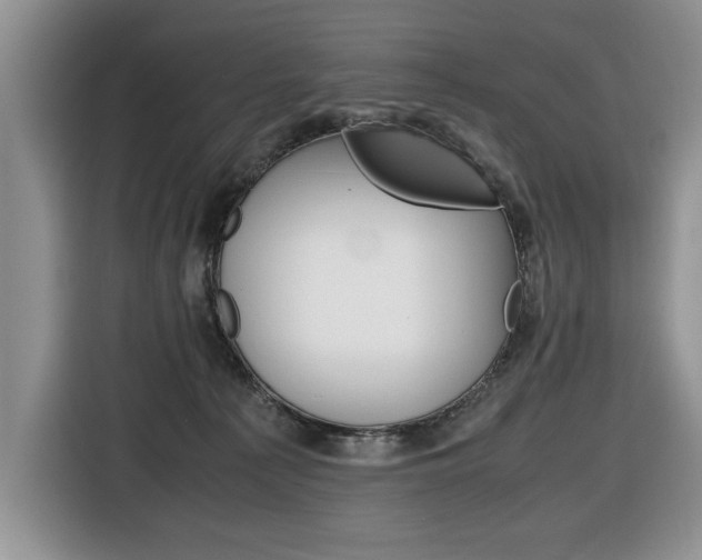 X0000116680225200912141012