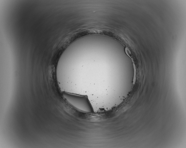 X0000116680229200912141012