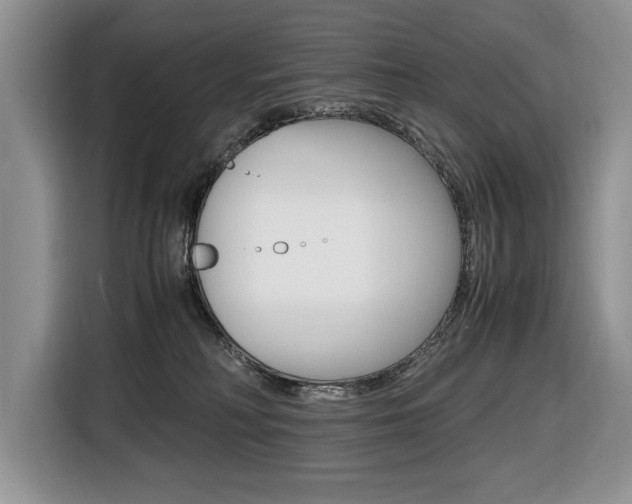 X0000116680230200912141012