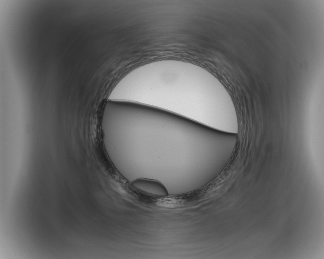 X0000116680231200912141011