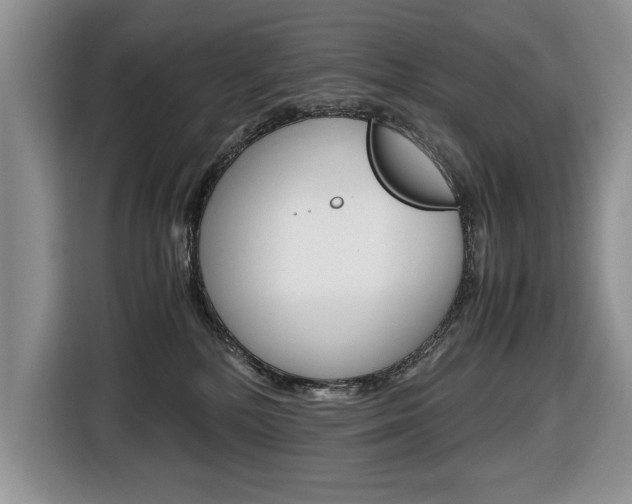 X0000116680232200912141011