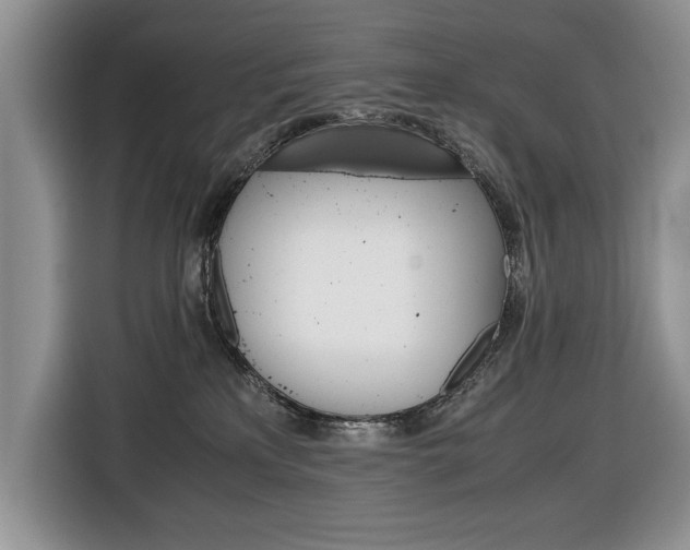 X0000116680233200912141011
