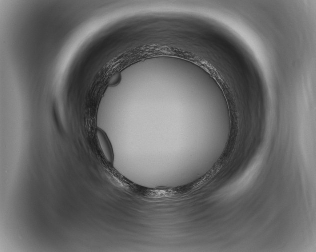 X0000116680239200912141011