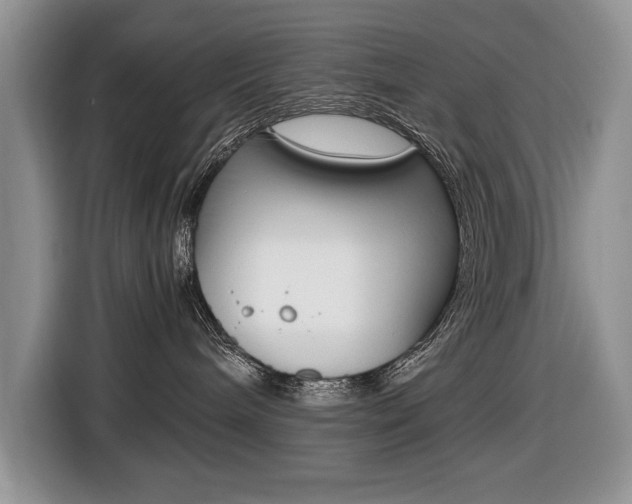 X0000116680240200912141011