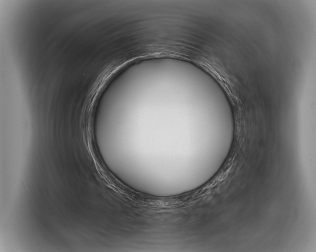 X0000116680241200912141011