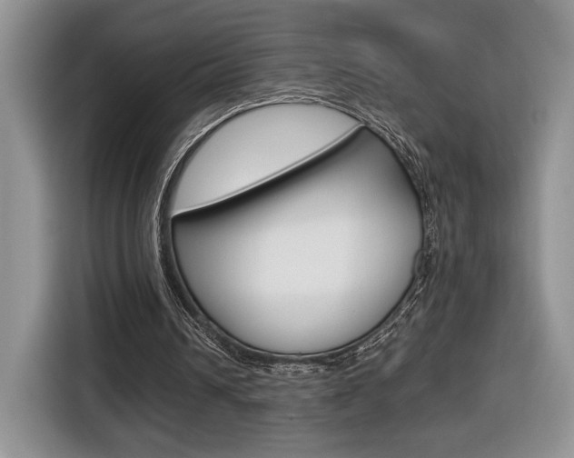 X0000116680242200912141011