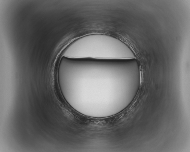 X0000116680243200912141011