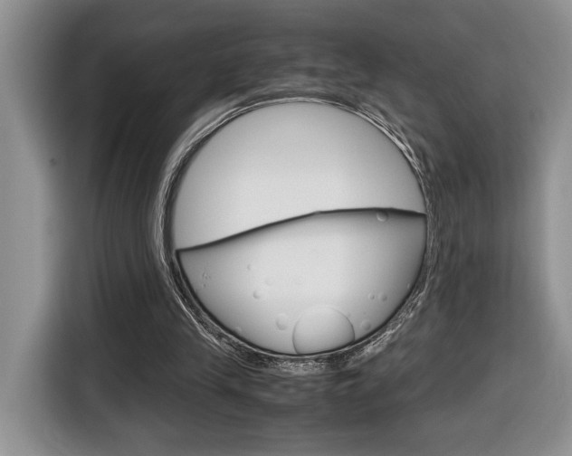 X0000116680245200912141011