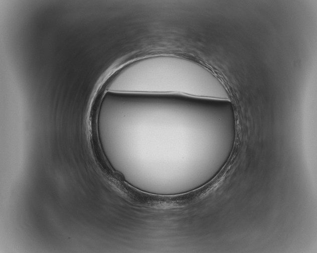 X0000116680246200912141011