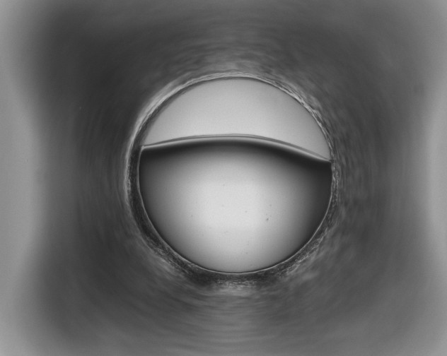 X0000116680248200912141011