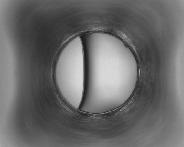 X0000116680249200912141011