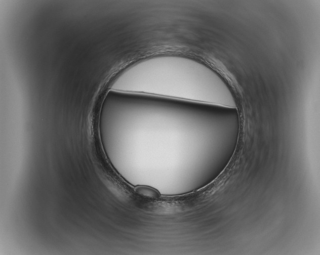 X0000116680250200912141011