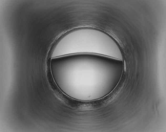 X0000116680252200912141011